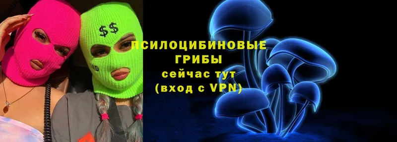 Псилоцибиновые грибы Cubensis  Верхоянск 